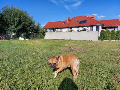 Hotel ,,Psia Kraina "